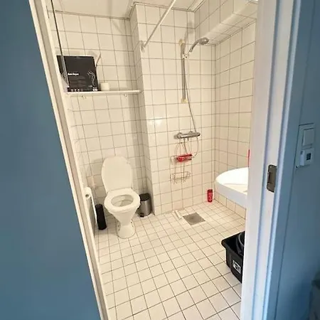 Apartment Cozy By Royal Palace Oslo
